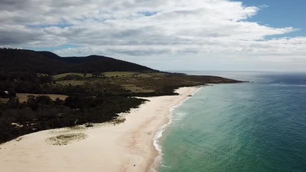 Drone Pan White Sand Beach Surrounded Trees Waves Rolling Tasmania — 图库视频影像