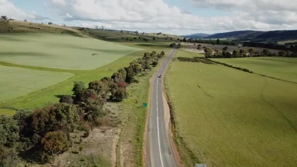 Drone Shot Car Driving Distance Straight Country Road Lined Trees — Stock videók