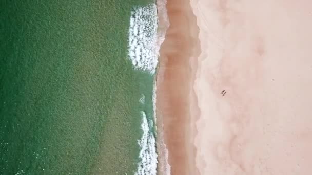 在澳大利亚塔斯马尼亚 两个人在白沙滩上被射中头部 波浪滚滚而过 — 图库视频影像