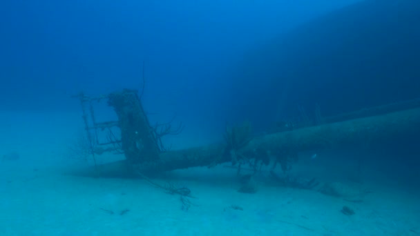 Hilma Hooker Mástil Material Archivo — Vídeo de stock