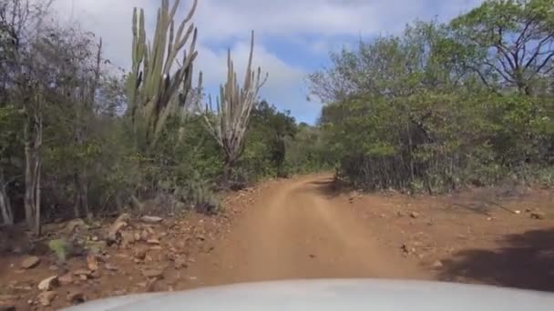 Driving Rough Dirt Road — Stockvideo