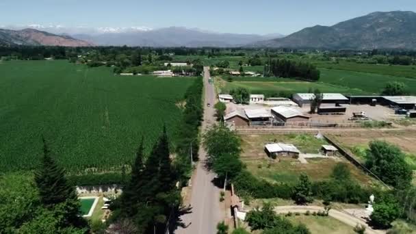 Drone Footage Nice Chilean Valey Landscape Full Vineyard — Stok Video