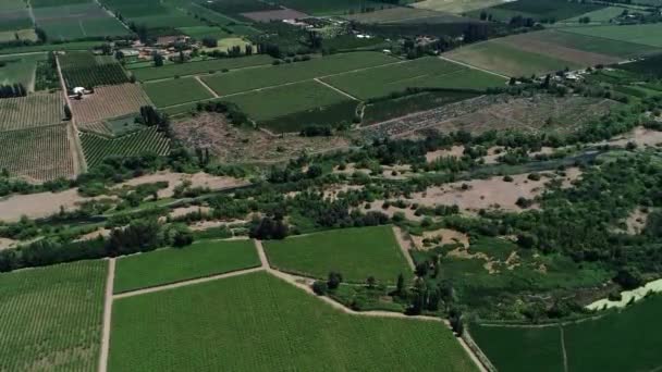 Drone Footage Nice Chilean Valey Landscape Full Vineyard — Vídeos de Stock