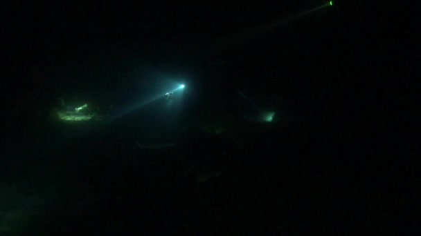 Airplane Wreckage Underwater Night — Stockvideo