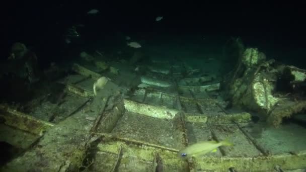 Airplane Wreckage Underwater Night — Stockvideo