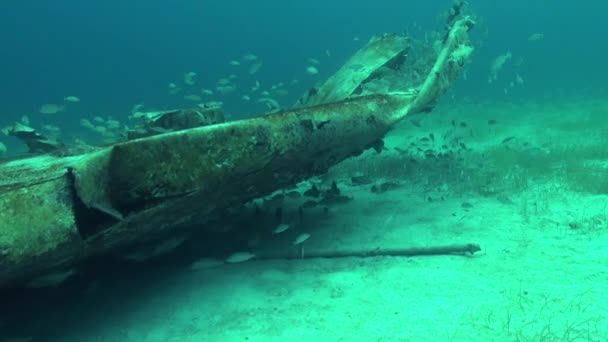 Los Restos Del Avión Bajo Agua Material Archivo — Vídeo de stock