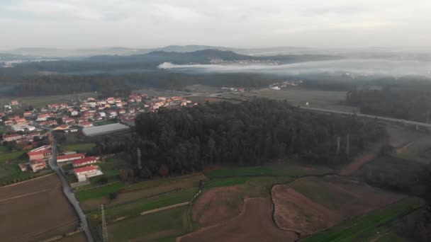 Plano Aéreo Aldea Medio Árboles Campos Hierba Con Niebla — Vídeos de Stock