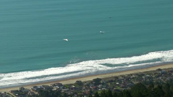 カリフォルニア州マリン郡のスティンソンビーチに2人のハンググライダー — ストック動画