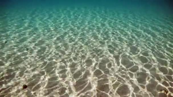 Odrazy Slunečních Paprsků Dně Jezera Ohrid Makedonii Velmi Čistou Průhlednou — Stock video