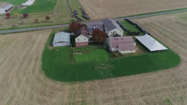 Amish Wedding Amish Farm Captured Drone — Vídeo de stock