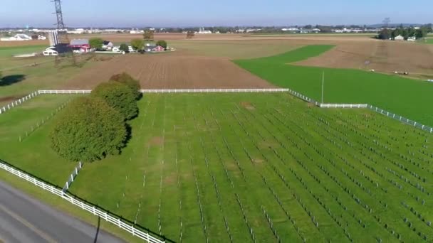 Amish Cemetery Landsbygden Som Ses Drönare — Stockvideo