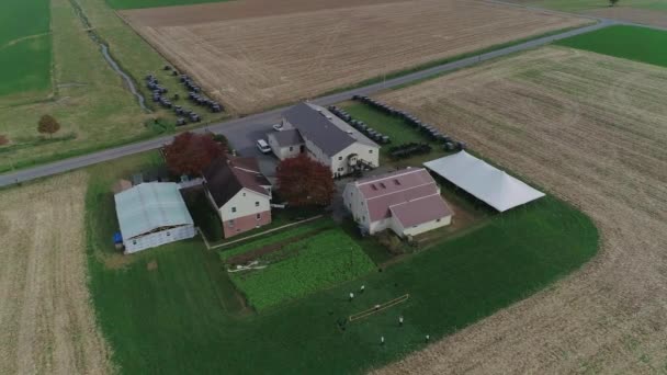 Amish Wedding Amish Farm Captured Drone — Wideo stockowe