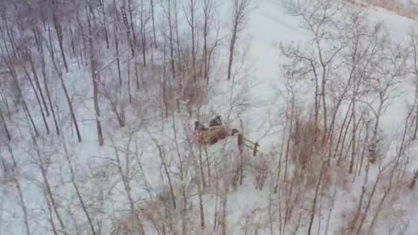 Clearing Snow Rural Property Wheeled Bobcat — Video