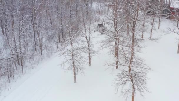 Clearing Snow Rural Property Wheeled Bobcat — Stock videók