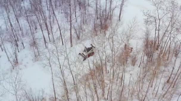 Очищення Снігу Сільській Місцевості Колісним Боботом — стокове відео
