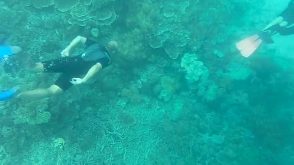 Ein Schnorchler Versucht Den Tauchern Great Barrier Reef Aufzuschließen — Stockvideo