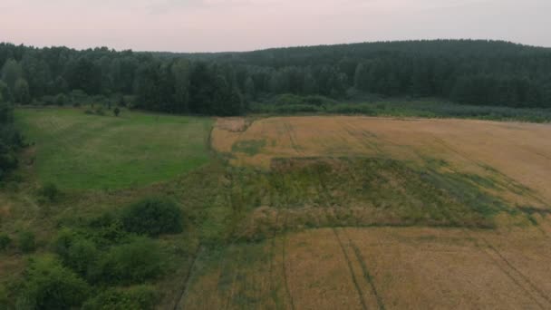 View Forest Field Kolbudy Kaszubia Pomorskie Poland — Stock Video
