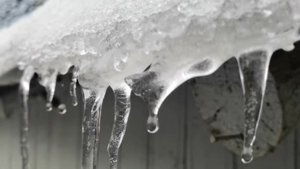 Slow Motion Scene Ice Melting — Stockvideo