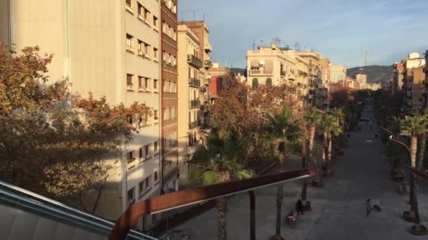 Barcelona Avenue Rambla Brasil Con Palme Vista Panoramica Sullo Scivolo — Video Stock