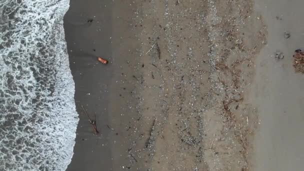 Ascending Rising Drone Shot Badly Polluted Beach Tons Plastic Men — Stock Video