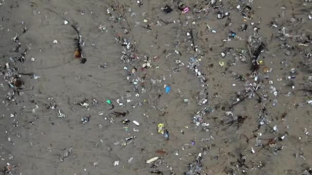 Pulling Back Aerial Shot Ecological Disaster Plastic Waste Beach Dying — Stock videók