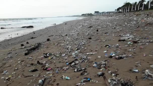 Walking Plastic Trash Beach Ecological Disaster Bali Man Kind Polluting — Video