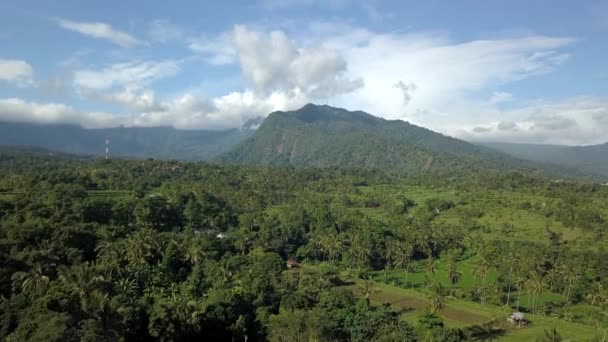 Beautiful Scenery Bali — Stockvideo