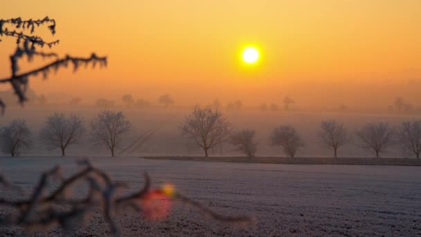 Sunset Time Lapse Snowy Landscape Fields Trees Few Branches Foreground — Video