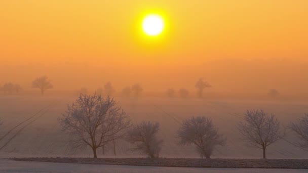 Sunset Time Lapse Snowy Landscape Fields Trees Camera Static Zoomed — Video