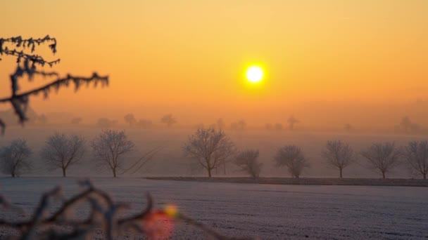 Sunset Time Lapse Snowy Landscape Fields Trees Few Branches Foreground — Video