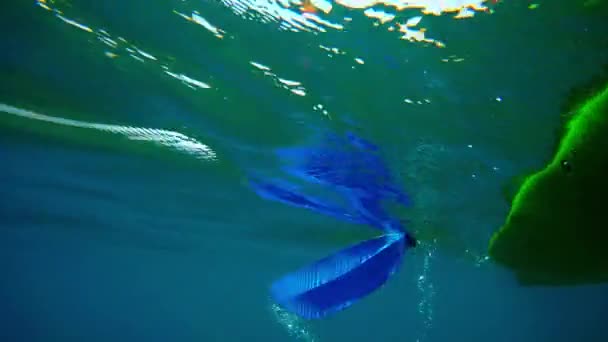 Underwater View Kayak Oar Very Clear Transparent Water Ohrid Lake — Stock video