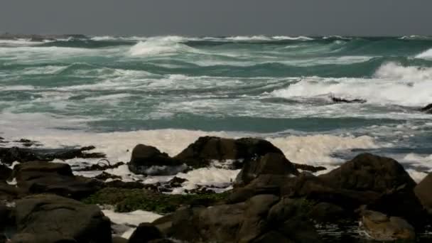 Windy Rough Seas Atlantic Coast Rocks Foreground — Vídeo de Stock