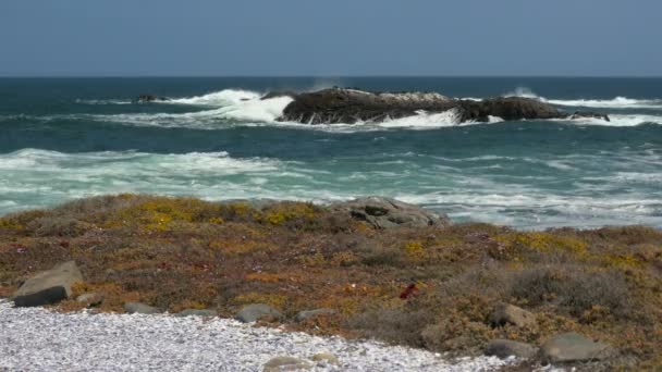 Small Offshore Island Being Pounded Waves Atlantic Coast Rocky Foreground — Stockvideo
