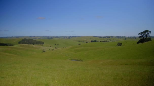 Green Rolling Hills South Gippsland Victoria Australia — Stockvideo