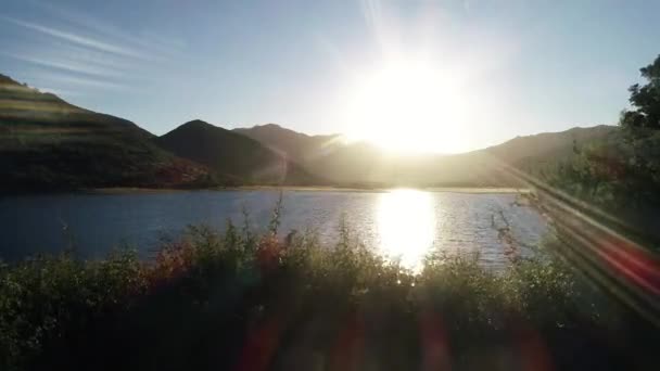 Chilean Vineyard Tranque Aerial View Footages — Wideo stockowe