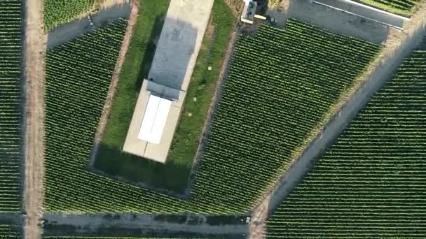 Chilean Vineyard Tranque Aerial View Footages — Vídeo de stock