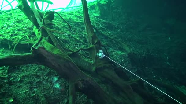 Cave Line Tied Cenote Light Zone — Stock videók