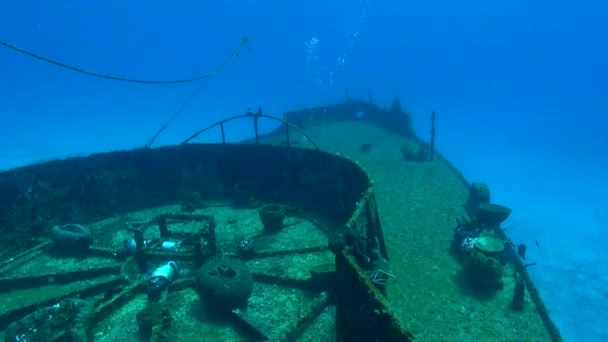 Swimming Shipwreck Bow — Vídeos de Stock