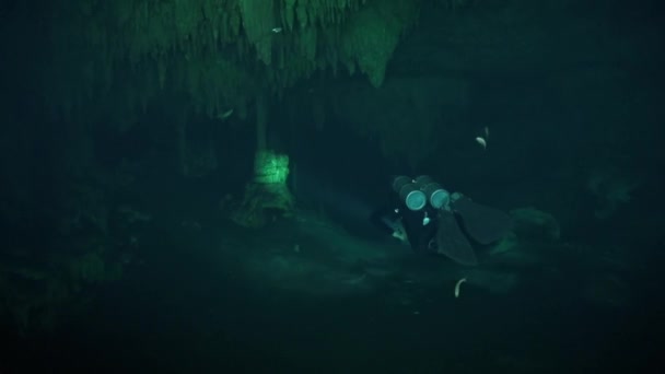 Cave Diver Roomy Passage — Stock videók