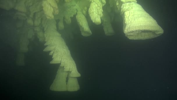 Unique Bell Speleothems Underwater — Vídeos de Stock