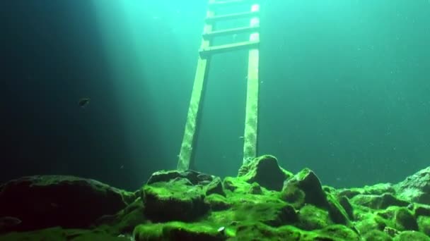 Wooden Ladder Mexican Cenote — Stock video