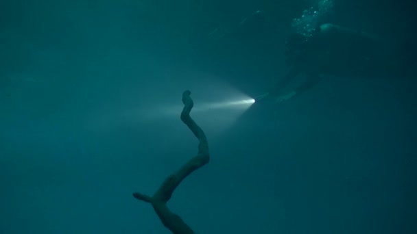 Divers Cenote H2S Layer — Videoclip de stoc