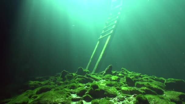 Wooden Ladder Mexican Cenote — Wideo stockowe