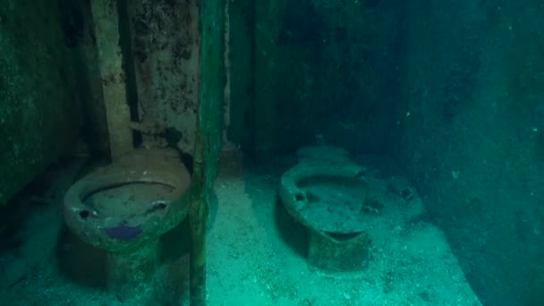Toilets Shipwreck Underwater — Stock videók