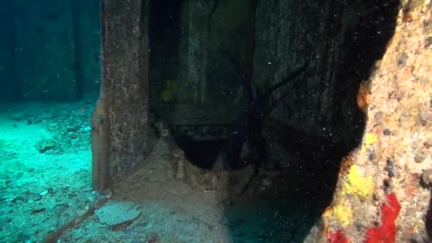 Dive Fins Disappear Shipwreck Hatch — Vídeos de Stock