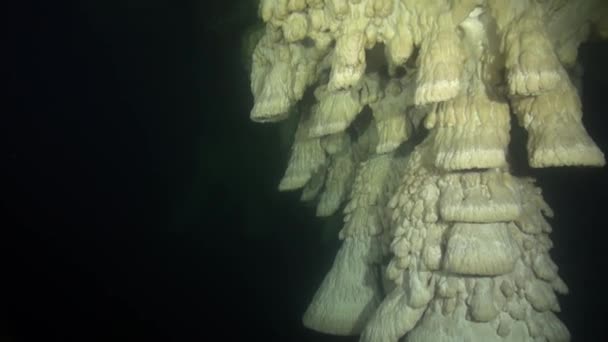 Miniature Bell Speleothems Deep Mexican Cavern — Stock Video