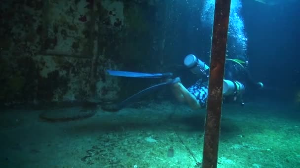 Diver Shipwreck — Stock Video