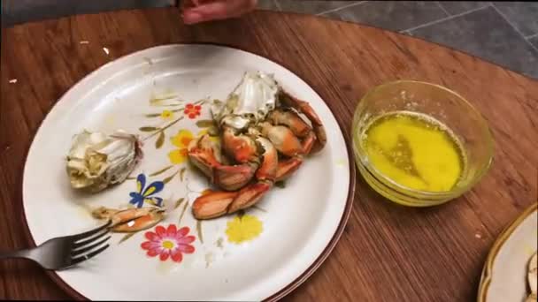 Time Lapse Two People Eating Dungeness Crab Dipped Butter Plate — ストック動画