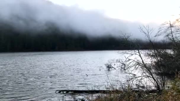 Umpqua River Oregon Flowing Early Morning Mist Fog – stockvideo