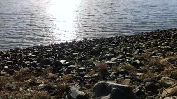 Mccullough Memorial Bridge Coos Bay North Bend Oregon Coast Highway — Stok video